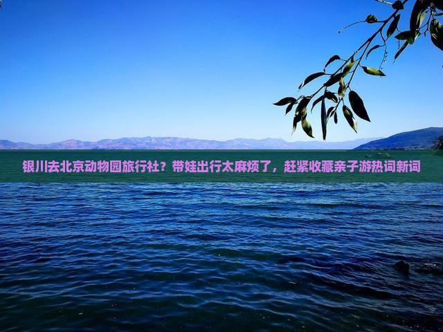 银川去北京动物园旅行社？带娃出行太麻烦了，赶紧收藏亲子游热词新词