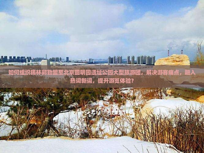 如何组织锡林郭勒盟至北京圆明园遗址公园大型旅游团，解决游客痛点，融入热词新词，提升游览体验？