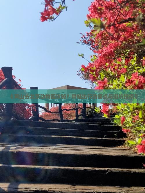 《黄山去北京动物园攻略？带娃出行的痛点与避坑指南》