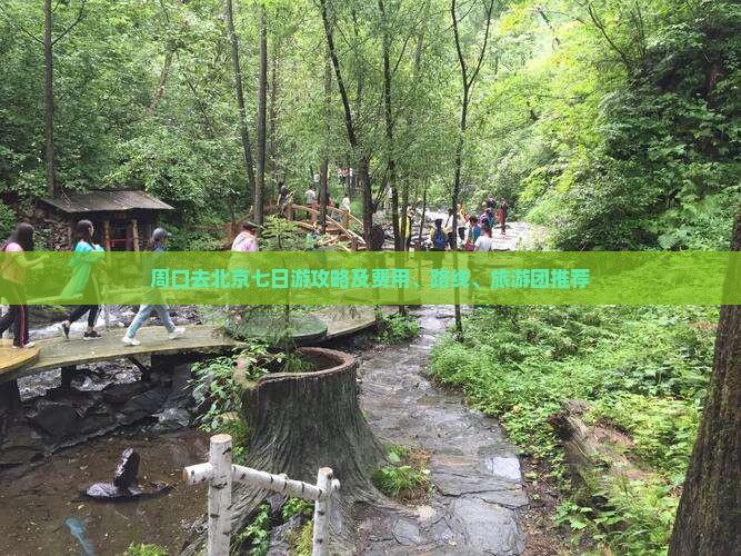 周口去北京七日游攻略及费用、路线、旅游团推荐