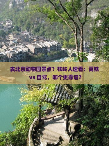 去北京动物园景点？铁岭人速看：高铁 vs 自驾，哪个更靠谱？
