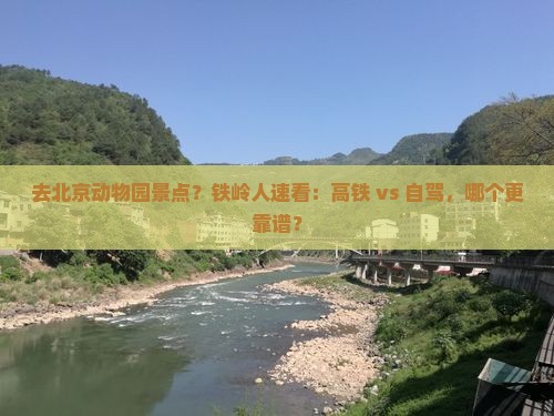 去北京动物园景点？铁岭人速看：高铁 vs 自驾，哪个更靠谱？