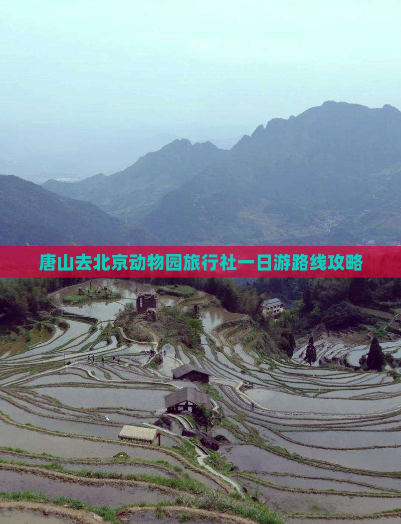 唐山去北京动物园旅行社一日游路线攻略