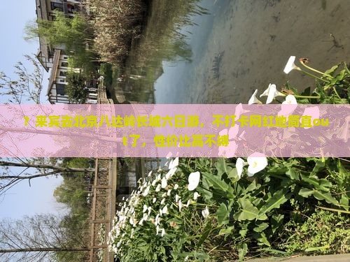 ？来宾去北京八达岭长城六日游，不打卡网红地简直out了，性价比高不缚