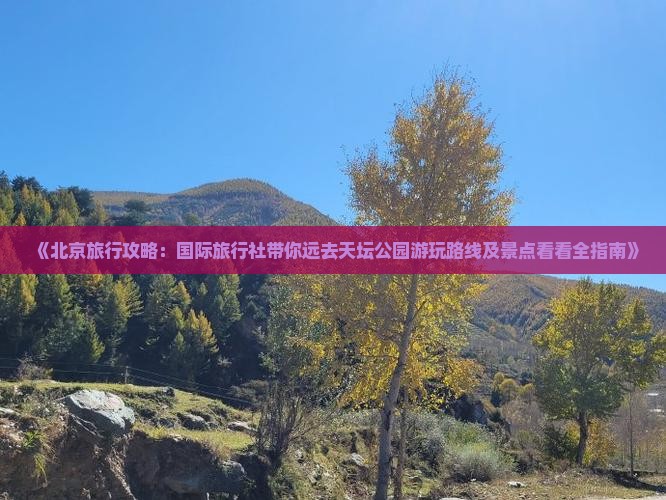 《北京旅行攻略：国际旅行社带你远去天坛公园游玩路线及景点看看全指南》