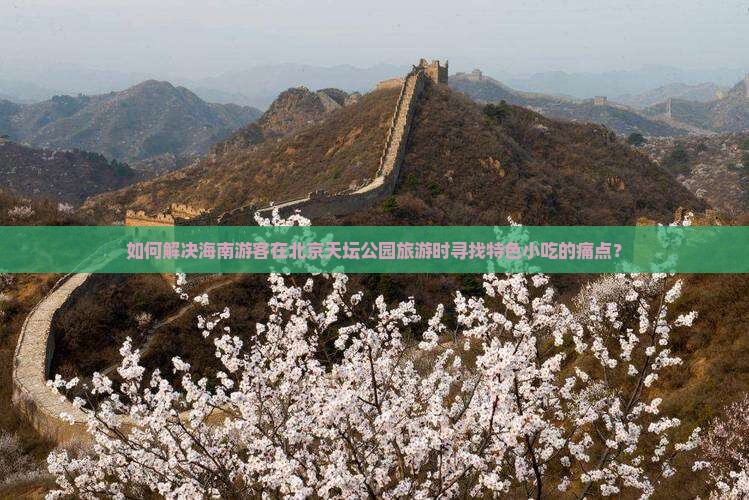如何解决海南游客在北京天坛公园旅游时寻找特色小吃的痛点？
