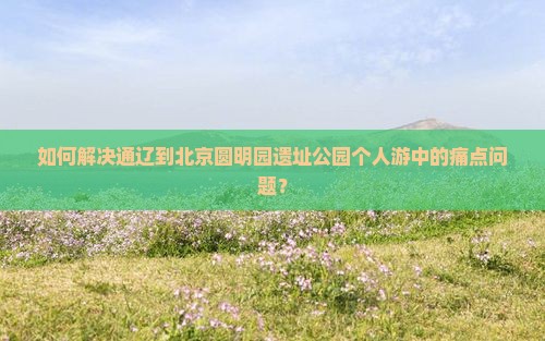如何解决通辽到北京圆明园遗址公园个人游中的痛点问题？