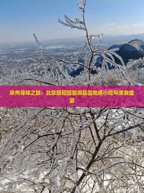 泉州寻味之旅：北京颐和园旅游品尝地道小吃与美食盛宴