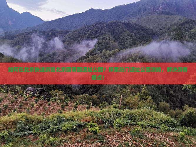 如何在北京快速游览北京圆明园遗址公园？探索热门遗址公园攻略，解决游客痛点！