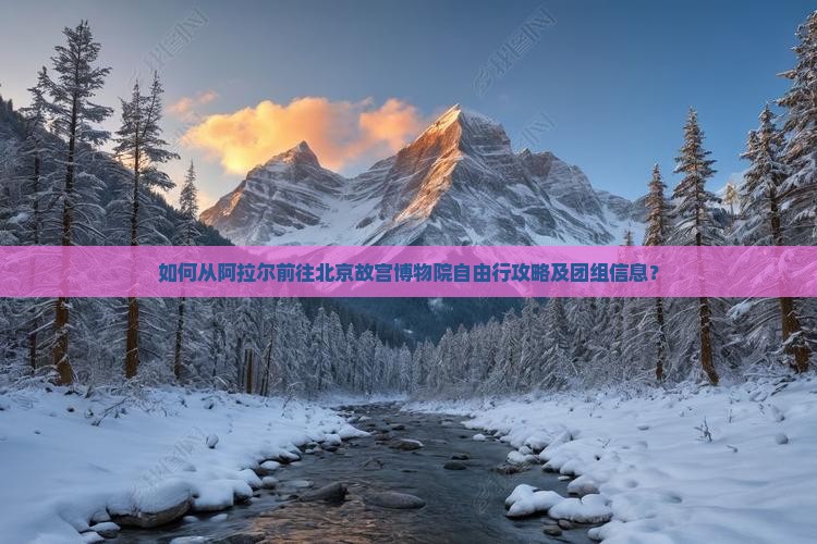 如何从阿拉尔前往北京故宫博物院自由行攻略及团组信息？