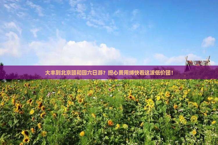 大丰到北京颐和园六日游？担心费用缚快看这波低价团！