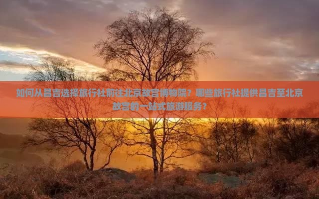 如何从昌吉选择旅行社前往北京故宫博物院？哪些旅行社提供昌吉至北京故宫的一站式旅游服务？