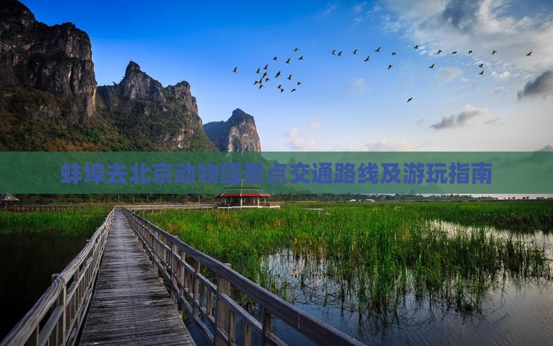 蚌埠去北京动物园景点交通路线及游玩指南