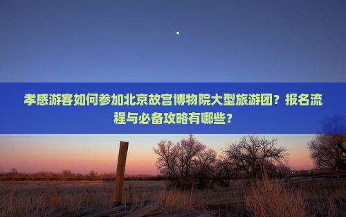孝感游客如何参加北京故宫博物院大型旅游团？报名流程与必备攻略有哪些？