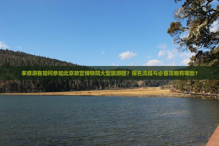 孝感游客如何参加北京故宫博物院大型旅游团？报名流程与必备攻略有哪些？