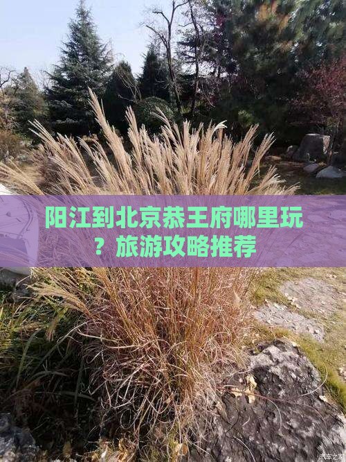 阳江到北京恭王府哪里玩？旅游攻略推荐