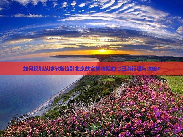 如何规划从博尔塔拉到北京故宫博物院的七日游行程与攻略？