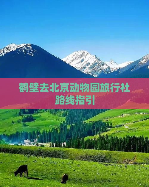 鹤壁去北京动物园旅行社路线指引