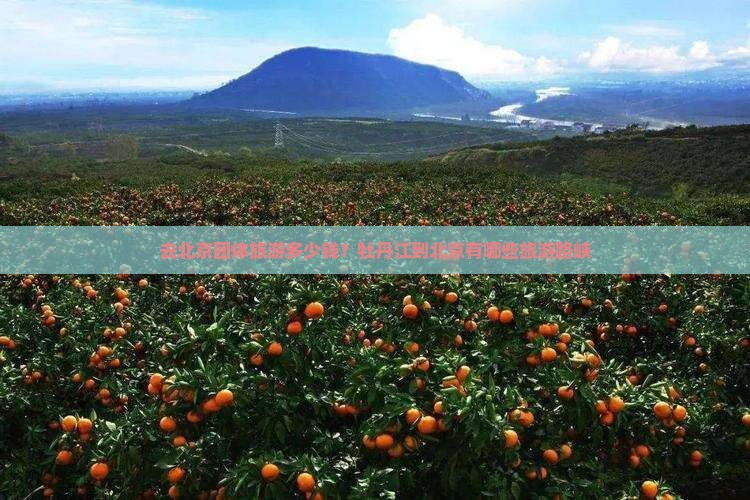 去北京团体旅游多少钱？牡丹江到北京有哪些旅游路峡