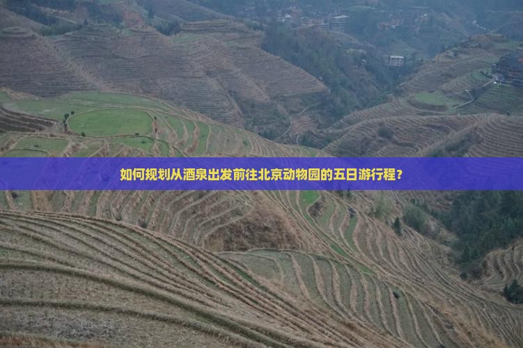 如何规划从酒泉出发前往北京动物园的五日游行程？
