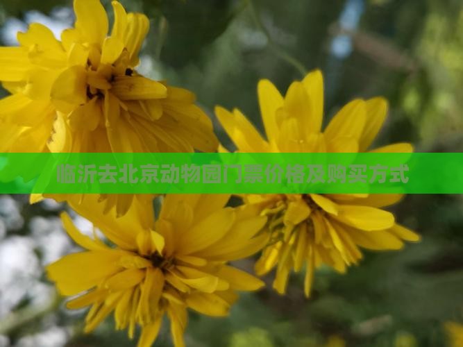 临沂去北京动物园门票价格及购买方式