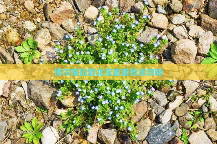 博尔塔拉到北京旅游景点攻略