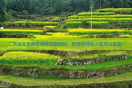 二月去北京故宫博物院旅游时，有哪些特色小吃可以品尝？