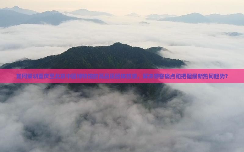 如何策划重庆至北京中国博物馆的高品质团体旅游，解决游客痛点和把握最新热词趋势？