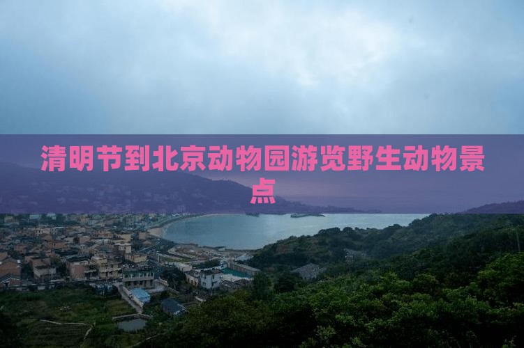 清明节到北京动物园游览野生动物景点