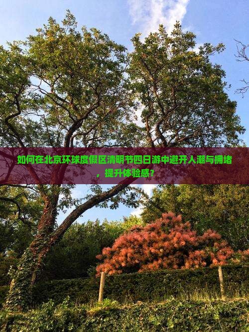 如何在北京环球度假区清明节四日游中避开人潮与拥堵，提升体验感？
