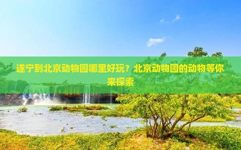 遂宁到北京动物园哪里好玩？北京动物园的动物等你来探索