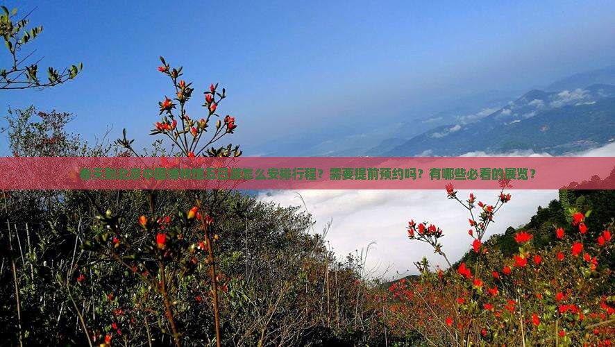 春天到北京中国博物馆五日游怎么安排行程？需要提前预约吗？有哪些必看的展览？