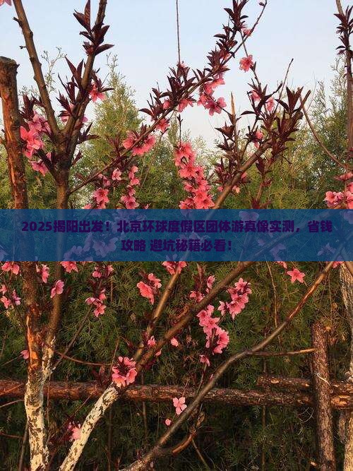 揭阳去北京环球度假区团体旅游