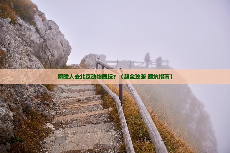 醴陵到北京动物园个人游