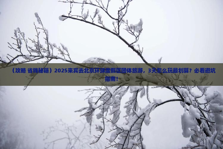 来宾去北京环球度假区团体旅游