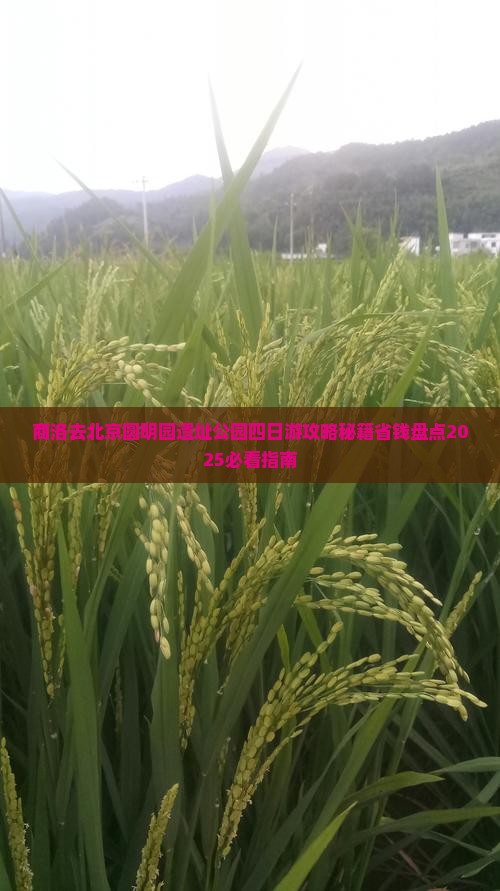 商洛去北京圆明园遗址公园四日游