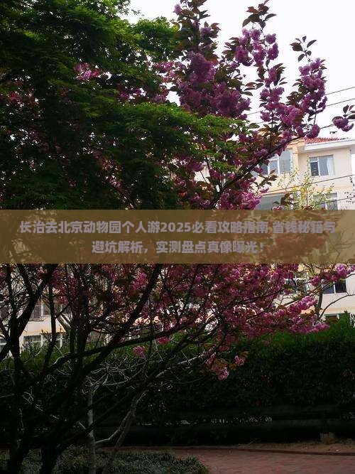 长治去北京动物园个人游