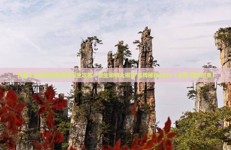 许昌去北京动物园必去地