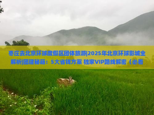 枣庄去北京环球度假区团体旅游