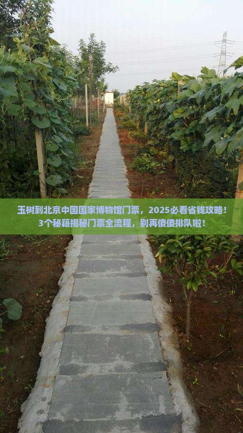玉树到北京中国国家博物馆门票