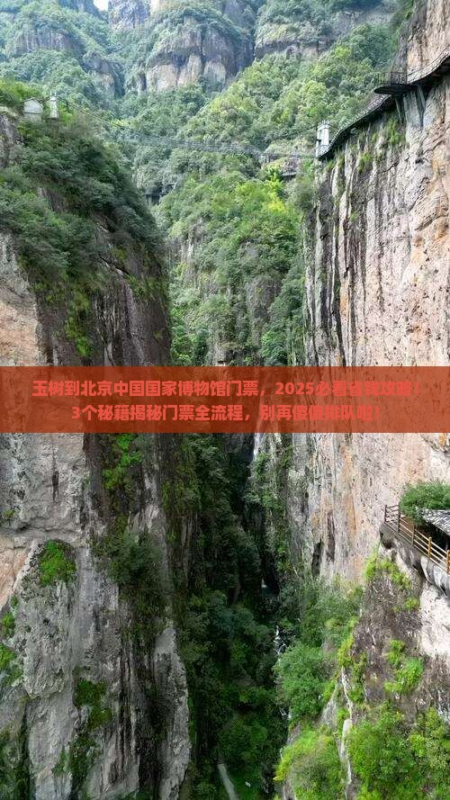 玉树到北京中国国家博物馆门票