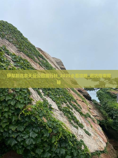 伊犁到北京天坛公园旅行社
