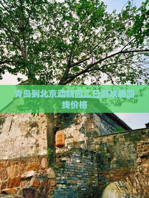 青岛到北京动物园二日游