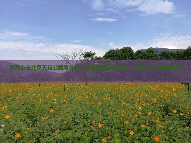 武夷山去北京天坛公园团体旅游 武夷山去北京天坛公园团体旅游
