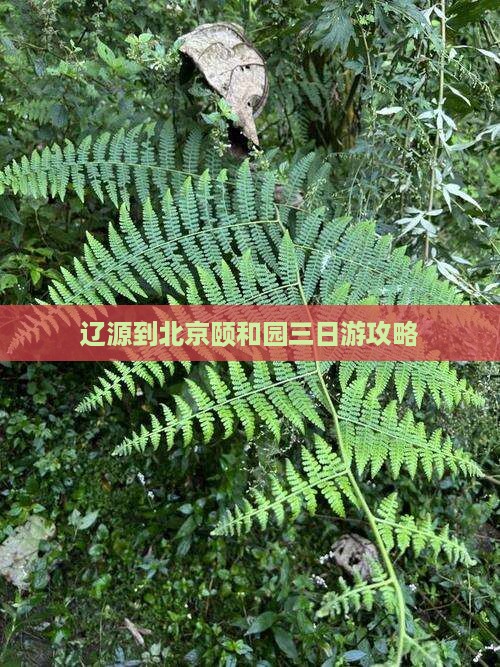 辽源到北京颐和园三日游