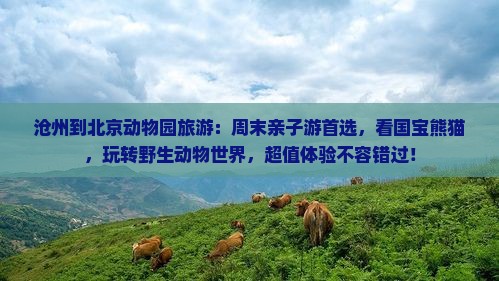 沧州到北京动物园旅游