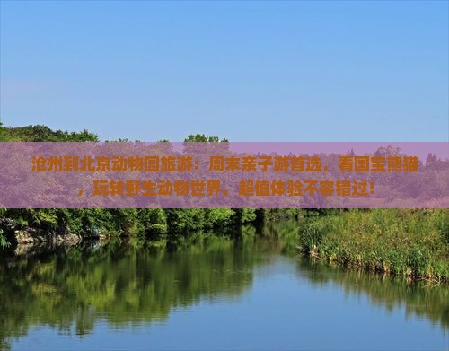 沧州到北京动物园旅游