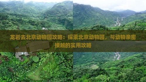 龙岩去北京动物园攻略