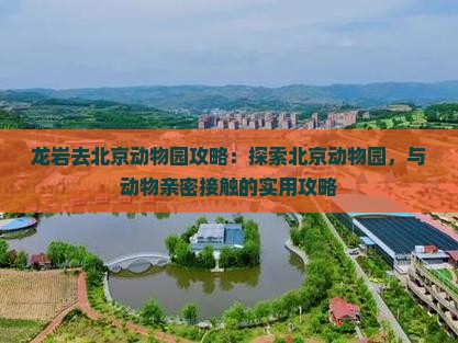 龙岩去北京动物园攻略