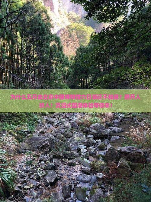 五月去北京中国国家博物馆六日游
